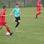 Elitna liga Primorec-Torviscosa