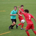 Elitna liga Primorec-Torviscosa