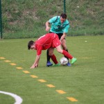 Elitna liga Primorec-Torviscosa