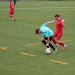 Elitna liga Primorec-Torviscosa