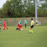 Elitna liga Primorec-Torviscosa