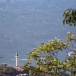 Barcolana 53