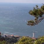 Barcolana 53
