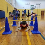 SKOKICA in projekti ZSŠDI