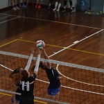 Sport - ODBOJKA - ZENSKA D LIGA - Olympia TS - Soca