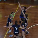 Sport - ODBOJKA - ZENSKA D LIGA - Olympia TS - Soca