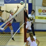 SPORT - ODBOJKA - 1. zenska divizija - ZALET - SOKOL