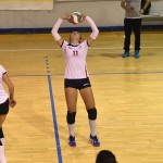 SPORT - ODBOJKA - 1. zenska divizija - ZALET - SOKOL