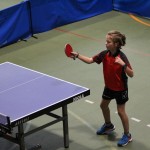 Namizni Tenis Kras