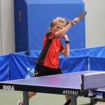 Namizni Tenis Kras
