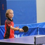 Namizni Tenis Kras