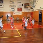 dom cervignano u 12