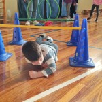 ZSŠDI: projekt Skokica