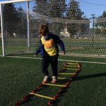 Projekt Skokica - ZSŠDI