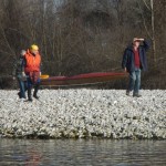 29. novoletni spust