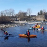 29. novoletni spust