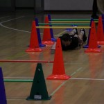 Šolski jezikovni poligon na šoli Trinko v Gorici