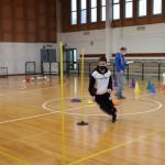 Jezikovi poligon v Gorici