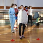 Jezikovi poligon v Gorici