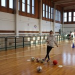 Jezikovi poligon v Gorici