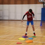 Jezikovi poligon v Gorici