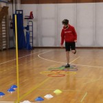 Jezikovi poligon v Gorici