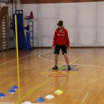 Jezikovi poligon v Gorici