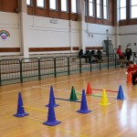 Jezikovi poligon v Gorici