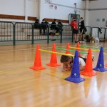 Jezikovi poligon v Gorici