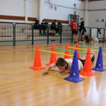 Jezikovi poligon v Gorici