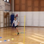 Jezikovi poligon v Gorici