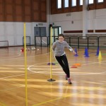 Jezikovi poligon v Gorici