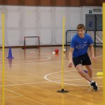 Jezikovi poligon v Gorici