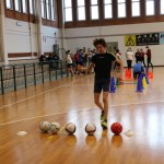 Jezikovi poligon v Gorici