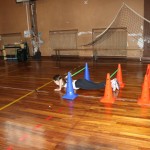 Šolski jezikovni poligon na NSŠ S. Kosovel