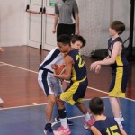 Košarka U 14 : Kontovel - S.Vito