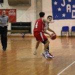 Košarka C Liga Gold : Jardran - Verona