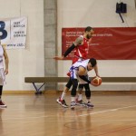 Košarka C Liga Gold : Jardran - Verona