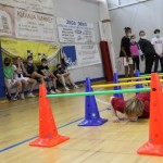 ZSŠDI: Šolski jezikovni poligon v Nabrežini s pripisom Foto Z