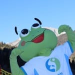 Skokica smuča v Forni di sopra