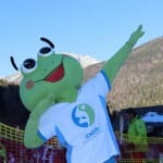 Skokica smuča v Forni di sopra