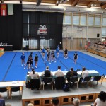 Cheerdance Millenium Frogc Cheers Cup