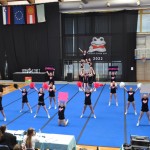 Cheerdance Millenium Frogc Cheers Cup