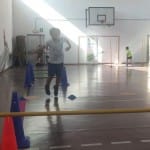 Skokičin vrtiljakin med dvema ognjema: OŠ v Ricmanjih in pri D