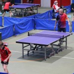 Namizni tenis Kras razne lige