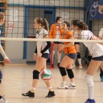 Odbojka prva ženska divizija : Zalet - Farravolo