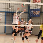 Odbojka prva ženska divizija : Zalet - Farravolo