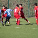 IMG_0206-2