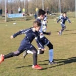 U11: Sovodnje - Cormonese - ISM Gradisca