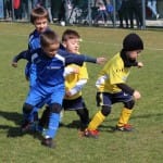 Mladi prijatelji: Sovodnje - Fiumicello